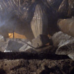 godzilla-1998-screencaps_61