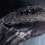 godzilla-1998-screencaps_72