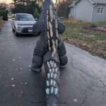 rj-axen-godzilla-v2-final-10