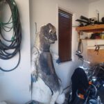 rj-axen-godzilla-v1-body-06