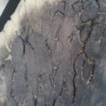 rj-axen-godzilla-v1-painting-02