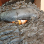 MatteoSimoni_Godzilla94_eyes_07