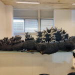 MatteoSimoni_Godzilla94_Dorsal plates_27