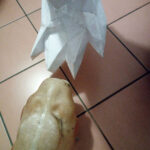 MatteoSimoni_Godzilla94_legs-feet_05