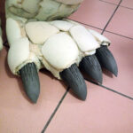 MatteoSimoni_Godzilla94_legs-feet_18
