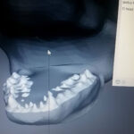 MatteoSimoni_Godzilla94_mouth_01