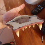 MatteoSimoni_Godzilla94_mouth_20