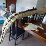 MatteoSimoni_Godzilla94_tail_10