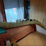 MatteoSimoni_Godzilla94_tail_11