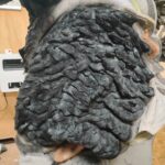 KEVIN-JONES-GODZILLA-TEXTURE-3